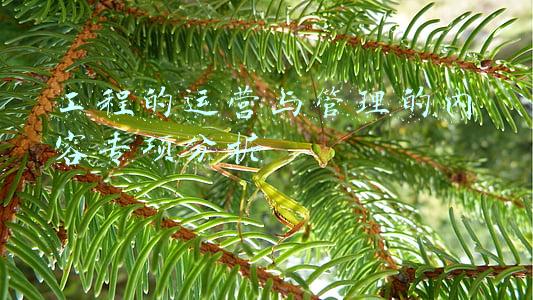 项目运营分析包括哪几方面(用户运营涉及的数据分析具体指什么以及应该怎么分析？)