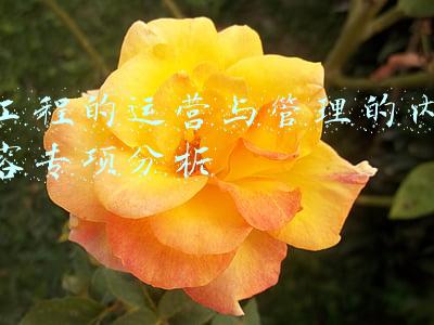 工程的运营与管理的内容专项分析
