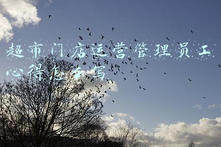 超市门店运营管理员工心得怎么写