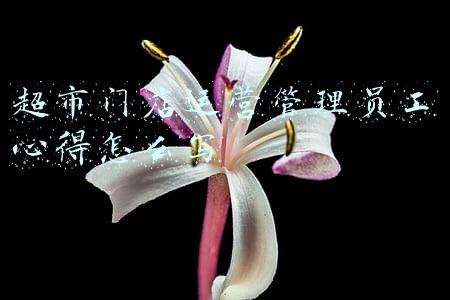 超市门店运营管理员工心得怎么写