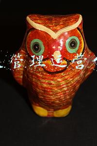 医美管理运营公司