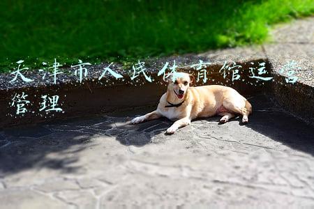 天津市人民体育馆位置(为什么天津的体育馆，只有这11家免费)