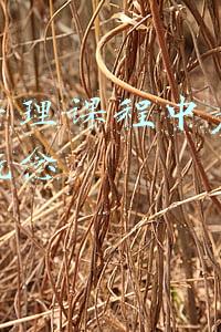 管理运筹学课件(+1！荣任国际顶刊副主编，孟涓涓教授和她的热爱)