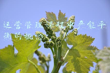 运营管理课程中产能平衡的概念
