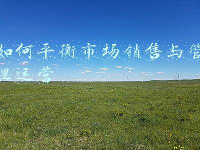 如何平衡市场销售与管理运营