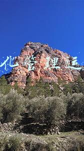 数字化管理员(企业如何做好数字化转型)