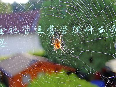 托管班全托是什么意思(5问托管班)