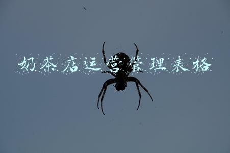 奶茶店运营管理表格