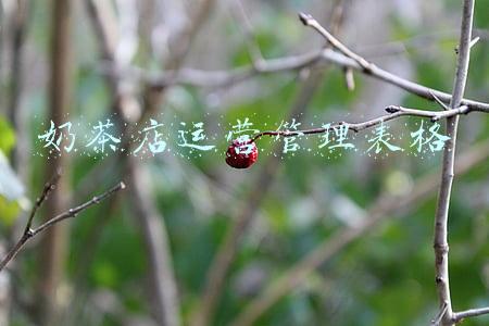 奶茶店运营管理表格