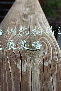 舞蹈培训机构的运营管理与发展策略