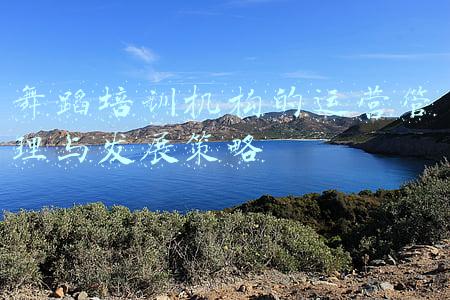 舞蹈培训机构的运营管理与发展策略