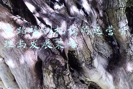 舞蹈培训机构的运营管理与发展策略