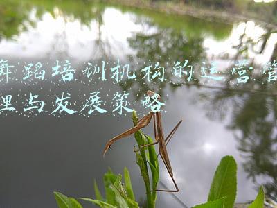舞蹈培训机构的运营管理与发展策略