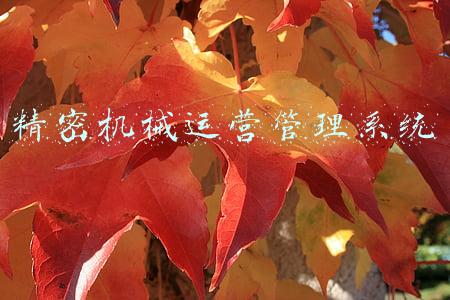 精密机械技术(现代机械制造工艺及精密加工技术的分析)