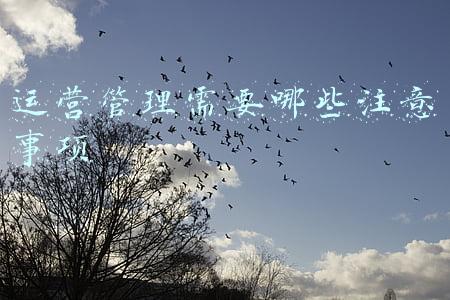 运营管理的方法有哪些(运营管理笔记：简谈定位)