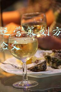 酒吧运营策划方案3000字论文