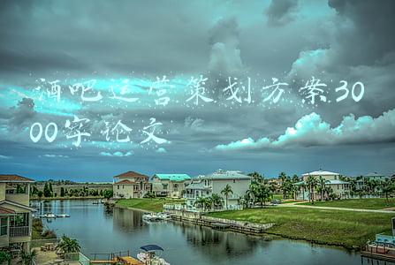 酒吧运营策划方案3000字论文