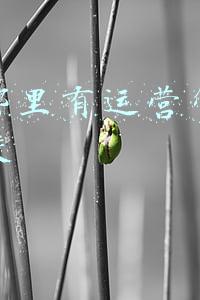 深圳哪家电商运营培训比较好(深圳市携创高级技工学校——电商企业项目班拿着奖金过寒假)