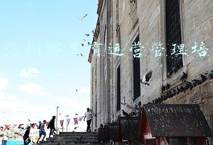 深圳哪里有运营管理培训学校