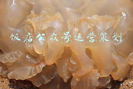 饭店公众号运营策划