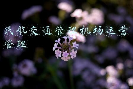 机场运营与管理(浅谈支线机场质量安全管理的四个常用有效工具)