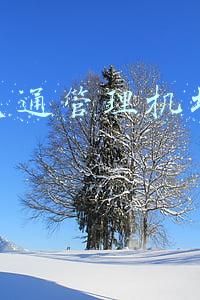 民航交通管理机场运营管理