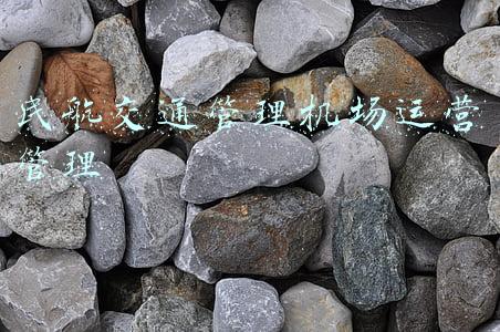 民航交通管理机场运营管理
