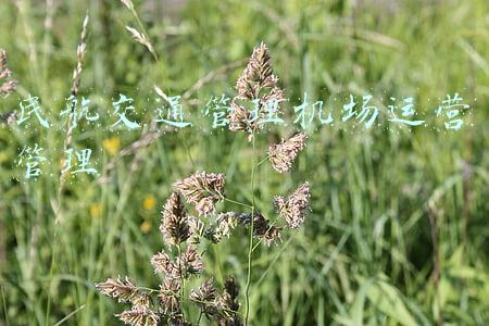 通用机场运营管理(安徽交通2022年要干这些大事！开建4个通用机场，开通运营合肥地铁5号线)