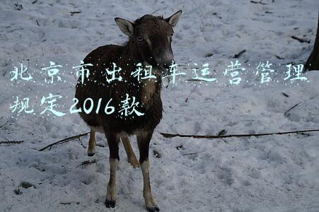 北京市出租车运营管理规定2016款