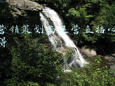 对直播营销的总结(直播营销具备哪些主要优势)