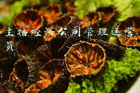 主播经济公司管理运营员