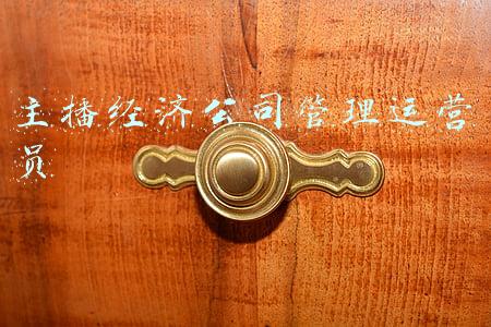 主播经济公司游戏下载(一款直播题材的国产模拟经营游戏)