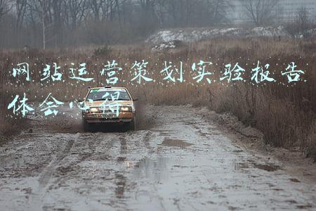 网店运营推广实训心得体会(实践感言 光电学院 网店运营)