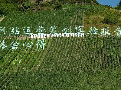 网站运营策划实验报告体会心得