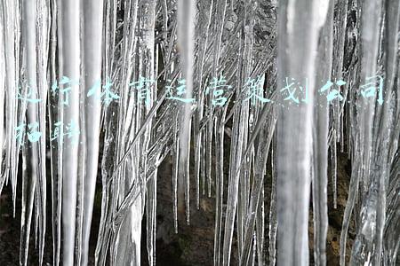 辽宁体育运营策划公司招聘