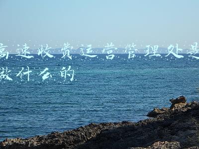 高速收费运营管理处是做什么的