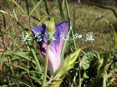 策划运营公司(中国十大品牌营销策划公司排行榜，十大策划公司排名)