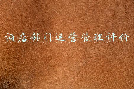 酒店部门运营管理评价