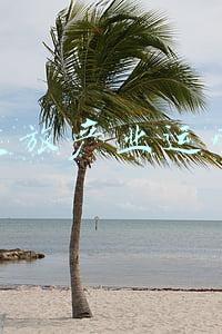 济南文旅产业运营管理