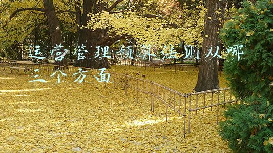 预算管理方法包括(企业管理：费用预算与管控，预算管控有6个重要的措施 值得借鉴)