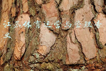 江苏体育运营与管理专业升本可以报哪些院校(49所江苏省内高校2021年在苏普通本科各专业组投档分统计表)