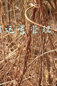互联网运营管理专业考研科目