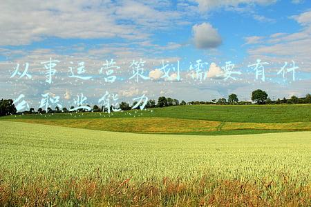 做运营需要具备什么能力(给准备在2022年求职运营工作的运营新人一些建议丨应届生也可参考)