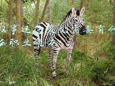 从事运营策划需要有什么职业能力