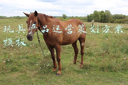 玩具展会策划书(国家级专业展会第十二届漫博会本周在东莞举行，“剧透”一波)