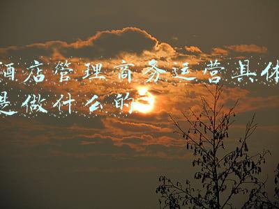 酒店运营主要是干什么的(环球旅讯王京：酒店到底是一门什么生意？)