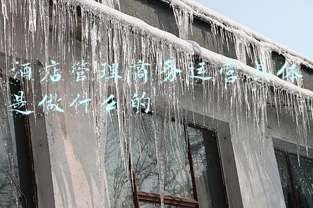 酒店管理运营模式(国内外酒店管理模式，你更喜欢哪一种？)