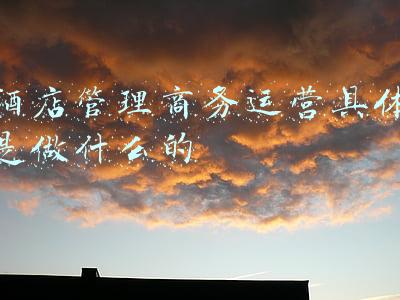 酒店管理商务运营具体是做什么的
