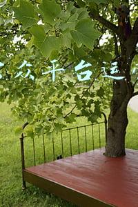 微信公众平台官网(如何申请公众号)