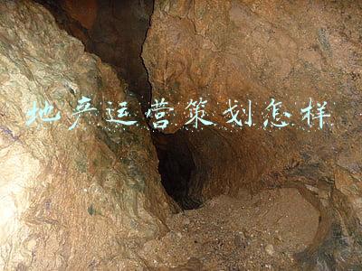 地产运营策划怎样
